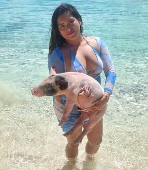 Swimming Pigs Encounter (1 hour)